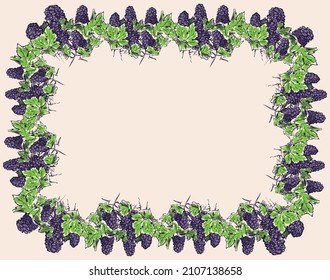 Decorative border from sketches vine branches with ripe grape bunches and leaves