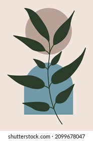 Decorative botanic modern color composition