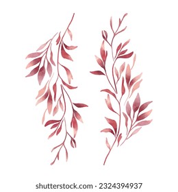 Decorative botanical branches hand drawn in watercolour style. 