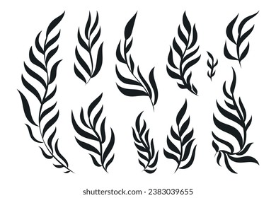 Tejidos botánicos decorativos con hojas. Conjunto de ramas negras aisladas vectoriales.