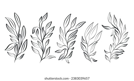 Decorative botanical doodle twigs with leaves. Set of vector isolated black branches.