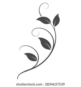 A decorative botanical element featuring a curved vine stem with leaves and flourishes isolated on a white background