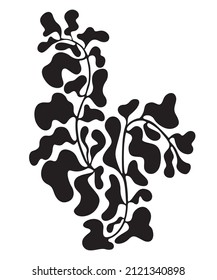 Decorative botanical element. Organic abstract shapes in black color isolated on white background. Floral wavy design. Trendy vector Illustration.