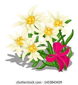 Decorative bouquet of bright flowers with pink ribbon isolated on white background. Vector illustration.