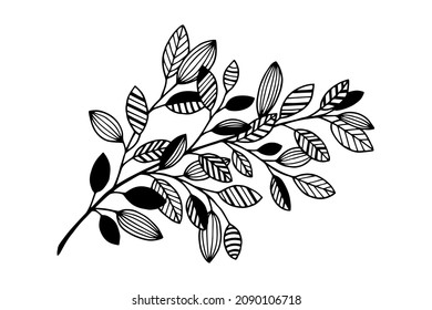 Decorative branch with leaves. Vector stock illustration eps10. Isolate on white background, outline, hand drawing.