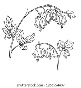 Decorative branches with flowers isolated on white background. Hand drawn vector illustration.