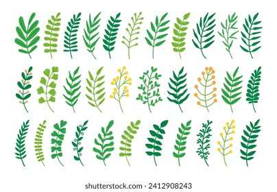 Ramas decorativas, hojas. Herbales de dibujos animados, plantas ornamentales, elementos botánicos. Esbozar la rama follaje y flora, hoja aislada en fondo blanco, conjunto vectorial. Elementos orgánicos naturales