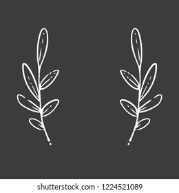 Decorative branches with leaves, hand drawn linear vector illustration