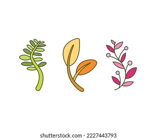 Illustration von dekorativen Zweigen und Blättern
