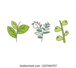 Decorative Branches and Leaves Illustration