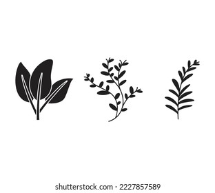 Decorative Branches and Leaves Illustration