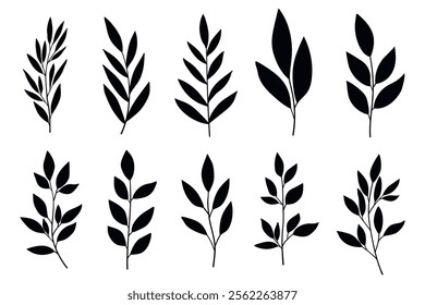 Decorative Branches and Leaves Silhouettes Set. Wild plants leaves black silhouettes isolated on white background