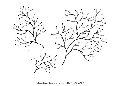 Decorative branches. Vector stock illustration eps10.