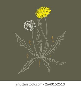 Decorative brush dandelion printable sketchy art. Boho floral hand drawn vector illustrations on abstract background wall poster decor for home, interior design element. Contemporary minimalist art