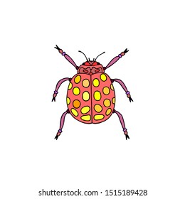 decorative bug, ladybug. eps10 vector illustration. hand drawing

