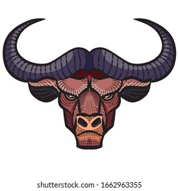 decorative bull head with patterns for logo, label, packaging, tattoo, isolated object on a white background,
