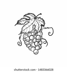 Decorative bunch of grapes. Hand-drawn. For labels, packaging.
