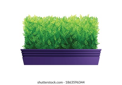 Decorative bush of rectangular shape in blue pot realistic vector illustration