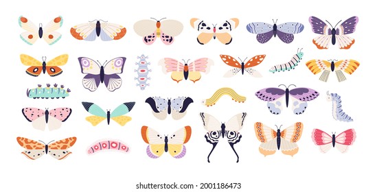 Decorative butterflies and caterpillars. Cute exotic butterfly, moth and larva. Colorful summer flying insects with wings, tattoo vector set. Exotic flying wings and spring butterfly collection