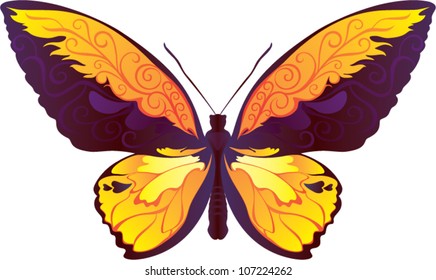Decorative butterfly with elegant ornament