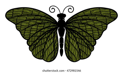 Decorative butterfly, isolated on white background. Vector illustration.