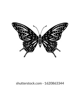 Butterflies Silhouettes Butterfly Icons Isolated On Stock Illustration ...