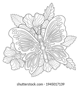 Decorative butterfly with simple patterns, flowers and leaves on a white isolated background. Insect. summer doodle illustration. For coloring book.