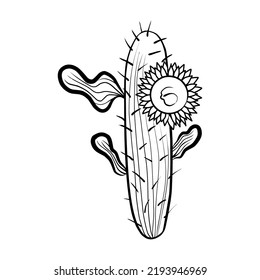 Decorative cactus hand drawn in doodle style