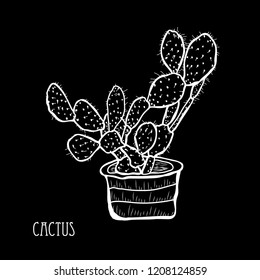 Decorative cactus plant, design element. Can be used for cards, invitations, banners, posters, print design. Floral background in line art style