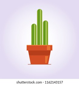 Decorative cactus with prickles on the white background. Home plant in pot. Flat style icon