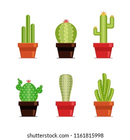 Decorative cactus set with prickles on the white background. Home plants cactus in pots and with flowers. Flat style icons.
