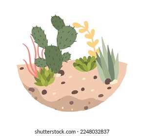 Decorative cactus and succulent plants in soil flat icon Houseplant. Vector illustration