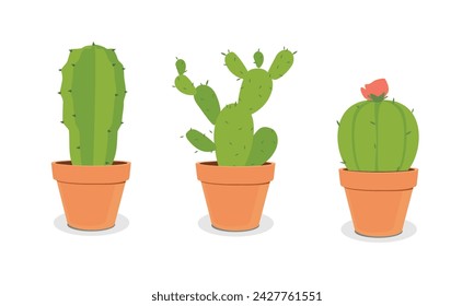 Decorative cactus vector icon isolated on white background. Cactus home plants in pot. Vector illustration