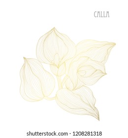 Decorative calla flowers, design elements. Can be used for cards, invitations, banners, posters, print design. Golden flowers