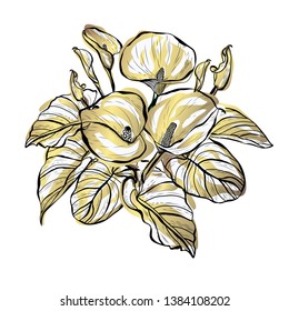 Decorative calla flowers, design elements. Can be used for cards, invitations, banners, posters, print design. Golden flowers