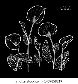 Decorative calla  flowers, design elements. Can be used for cards, invitations, banners, posters, print design. Floral bouquet