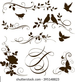 Decorative calligraphic tree branches with birds. Vector set of floral twigs for page decoration