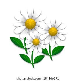 Decorative camomiles on a white background, vector illustration
