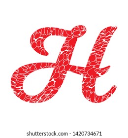 Decorative capital letter h vector illustration