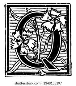 A decorative capital letter Q with flowers and lines, vintage line drawing or engraving illustration