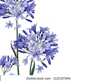 
Decorative card. Beautiful blue flowers on a white background. svg