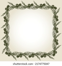 Decorative card with border from olive branches sketches 