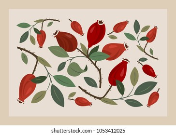 Decorative card with rosehip.  Hand-drawn vector Illustration