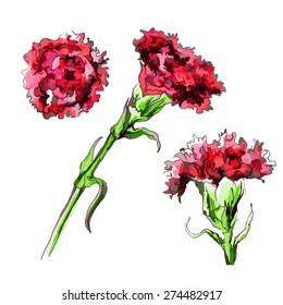 Decorative Carnation flower