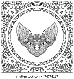 Decorative Cat head on ethnic decorative pattern background. Vector illustration.  Adult Coloring book. Coloring page. Vector illustration.