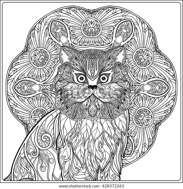 decorative cat mandala vector illustration adult stock