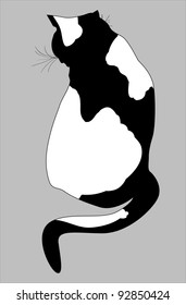 decorative cat (pattern vector image)