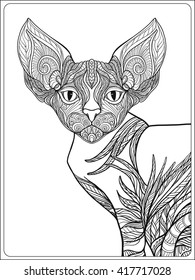 Decorative Cat. Vector illustration.  Adult Coloring book. Coloring page. Vector illustration.