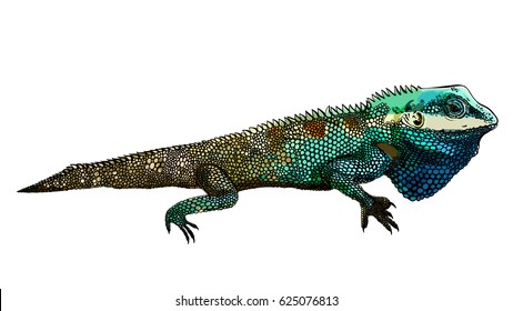 Decorative chameleon artwork zentangle inspired , patches and stickers. Tropical lizard and monstera leaves.