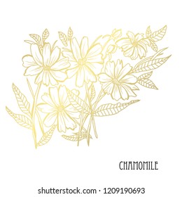 Decorative chamomile flowers, design elements. Can be used for cards, invitations, banners, posters, print design. Golden flowers